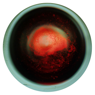 Illustration for article titled These Gorgeous Photos Show Whisky As You've Never Seen It Before